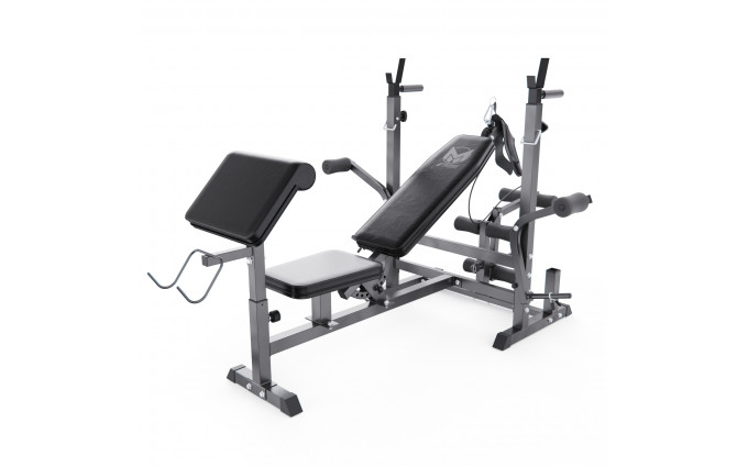 Скамья со стойками под штангу DFC GYRONETICS GN008 с партой для бицепса